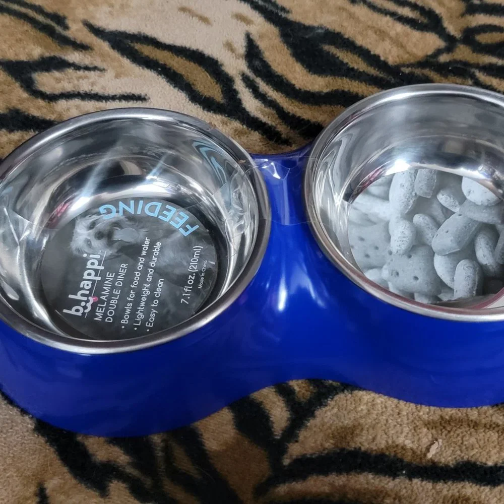 Pet Bowl Set Dog or Cat Stainless blue small 7.1 fl oz.